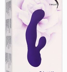 SWAN PRINCESS